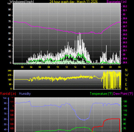 24 Hour Graph for Day 11